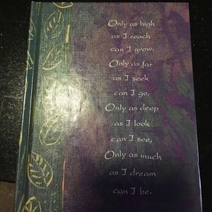 Journal- never used-- blank pages