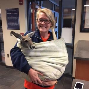 Meet your Posher, Mary