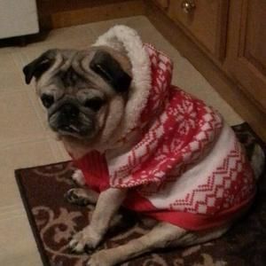 Meet your Posher, Barbara