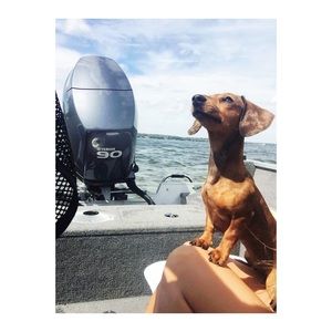 Meet your Posher, Elizabeth