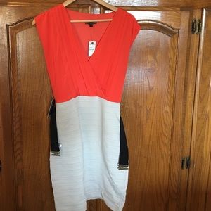 Express Bodycon Dress