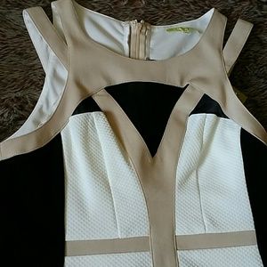 Gianni Bini Dress