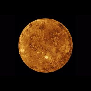 Meet your Posher, Alexia