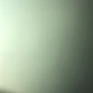 Meet your Posher, Charlie