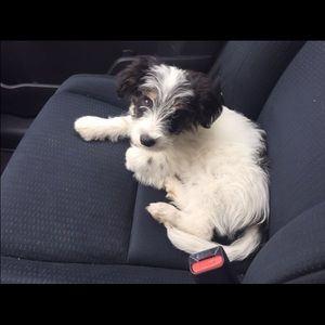 Meet your Posher, Tessa