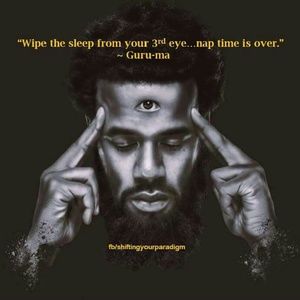 Meet your Posher, Harold