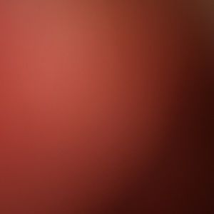 Meet your Posher, Haylee