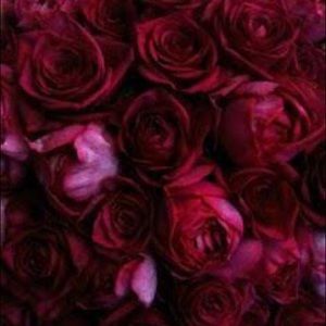 Meet your Posher, Noelia