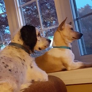 Meet your Posher, Maureen