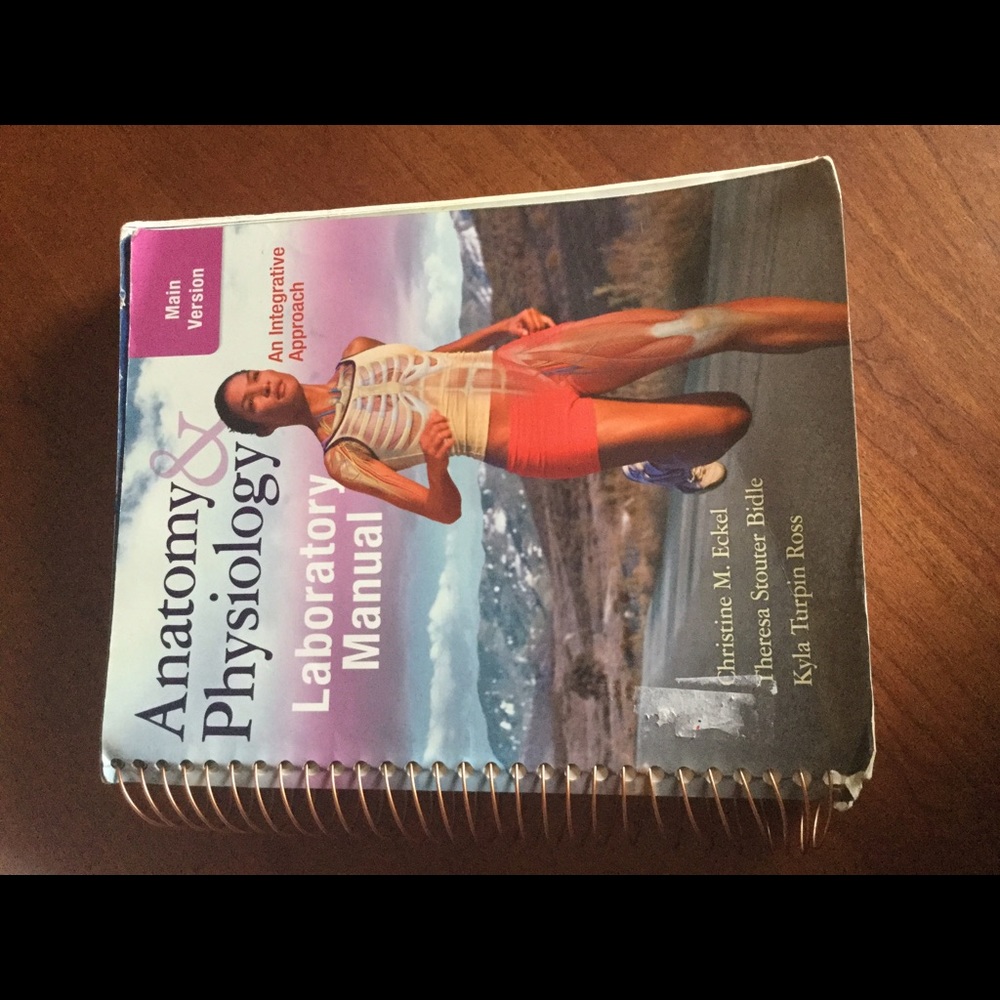 Anatomy and Physiology Lab Manual,Main Version 13