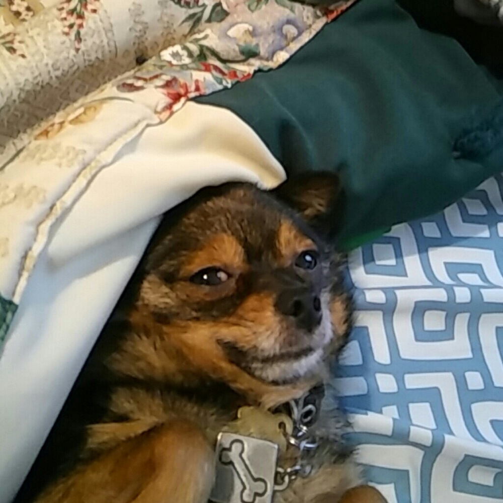 Meet your Posher, Ruth