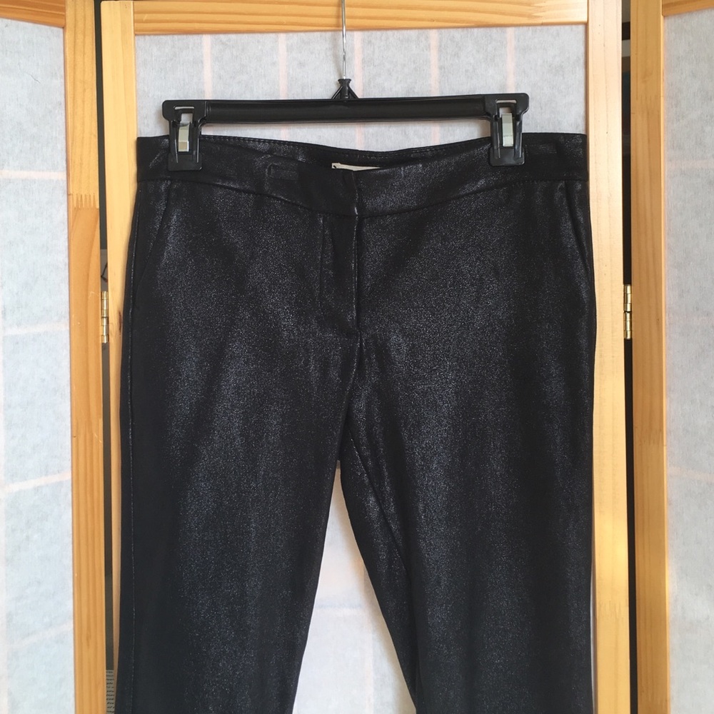 Shimmery Leather Pants