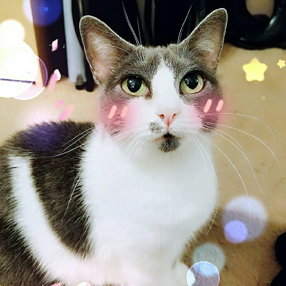 Meet your Posher, Audri