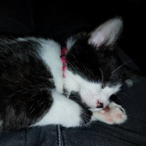 Meet your Posher, Julie