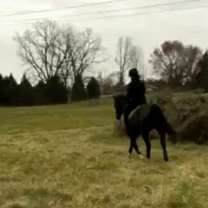 Meet your Posher, Jess