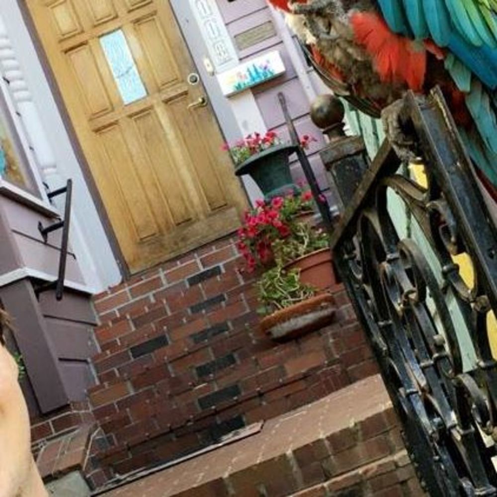 Meet your Posher, Boris