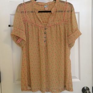 Sheer short sleeved top