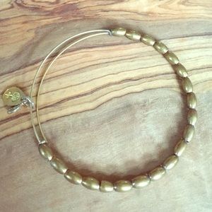 Alex and Ani bracelet