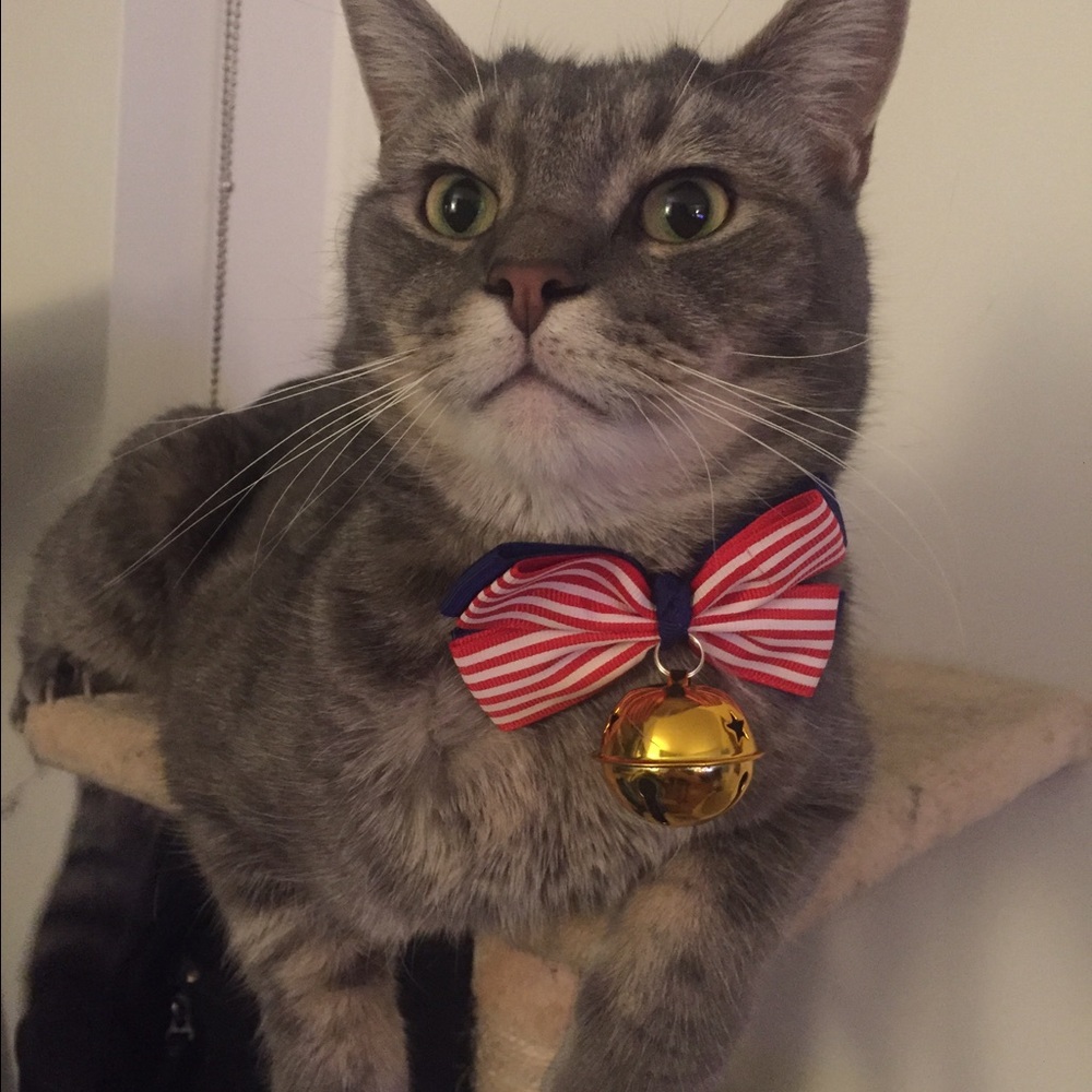 Meet your Posher, Li yi