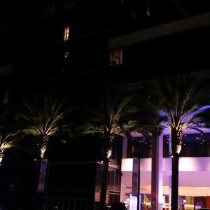 Meet your Posher, Hyon