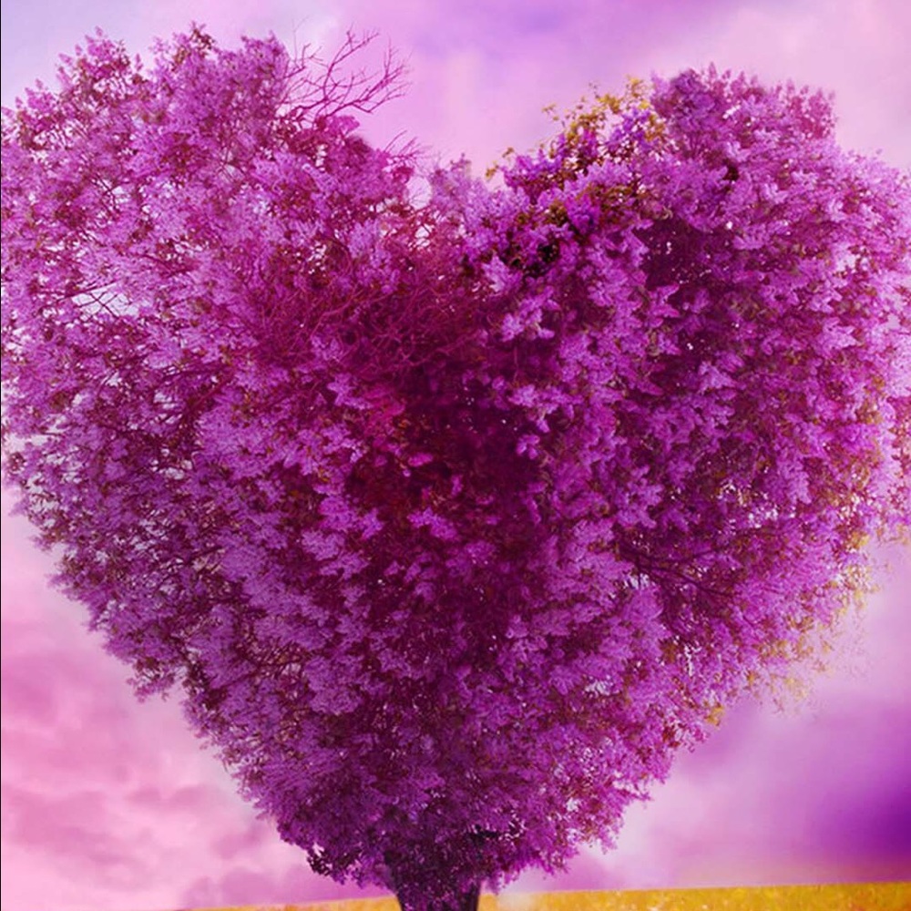 Meet your Posher, Ivette