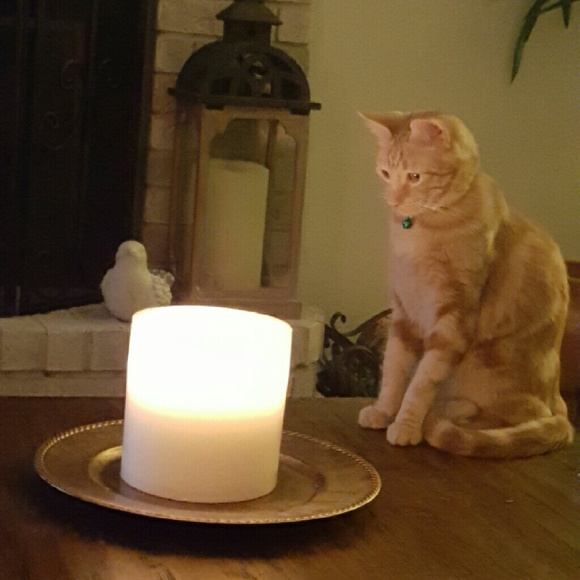 Meet your Posher, Tracy - Picture 1 of 1