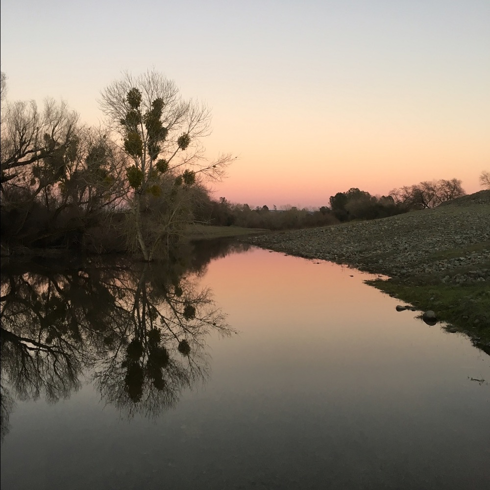 Meet your Posher, Cessair