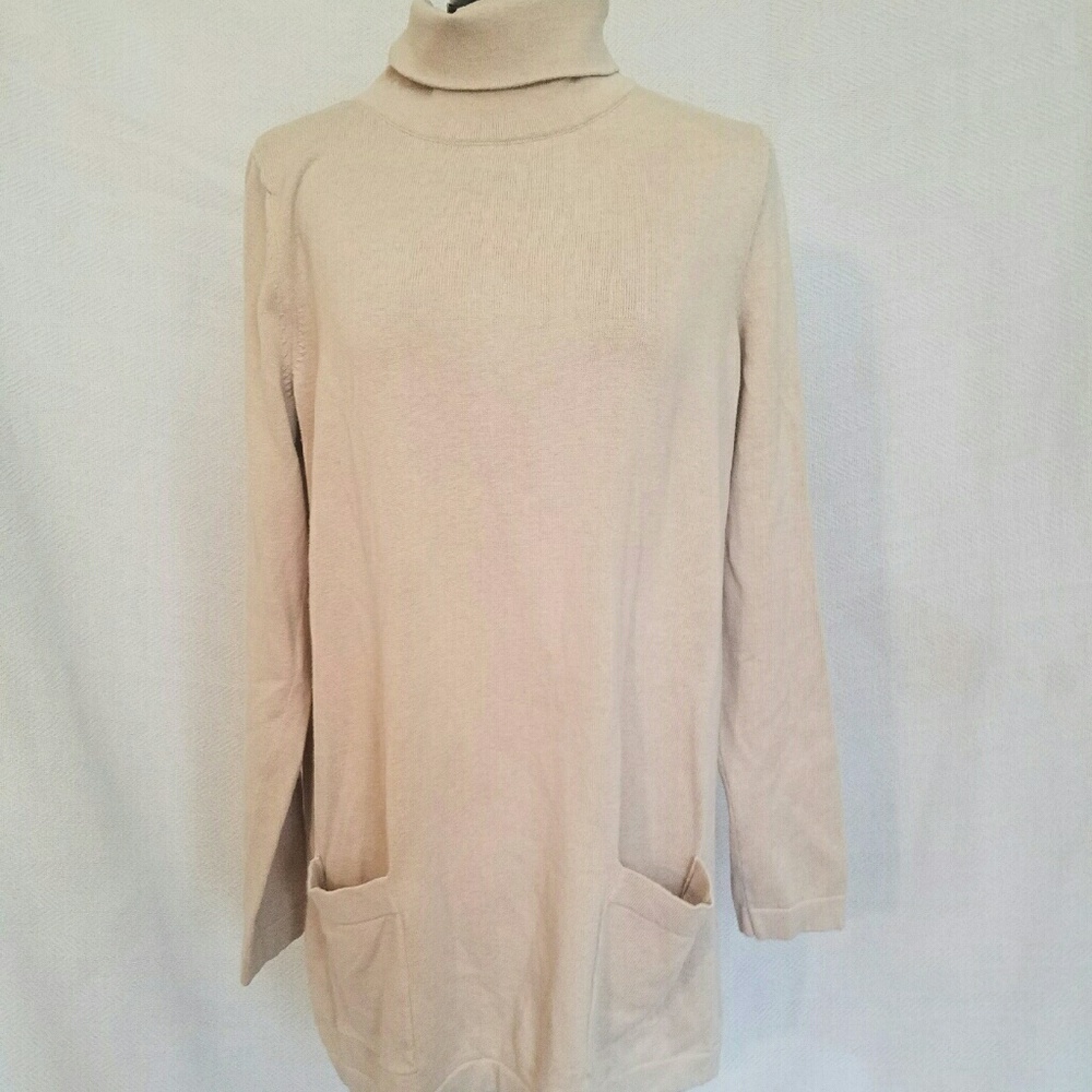 Comfy Turtleneck Sweater Dress