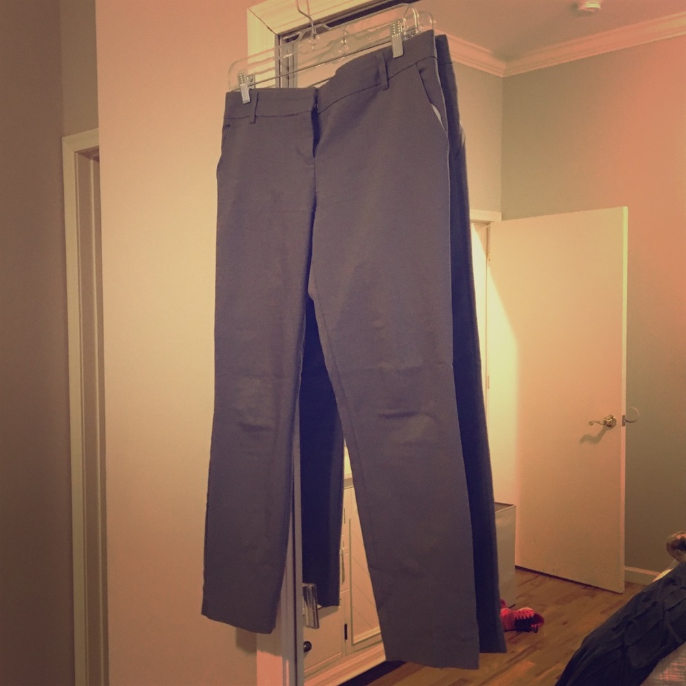 Express editor pants- ankle length