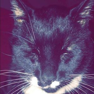 Meet your Posher, Lesia