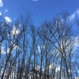 Meet your Posher, Doris