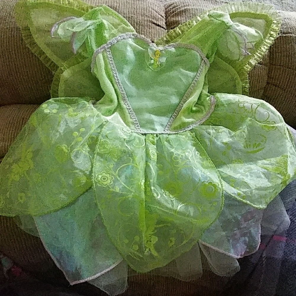 Disney Tinkerbell costume