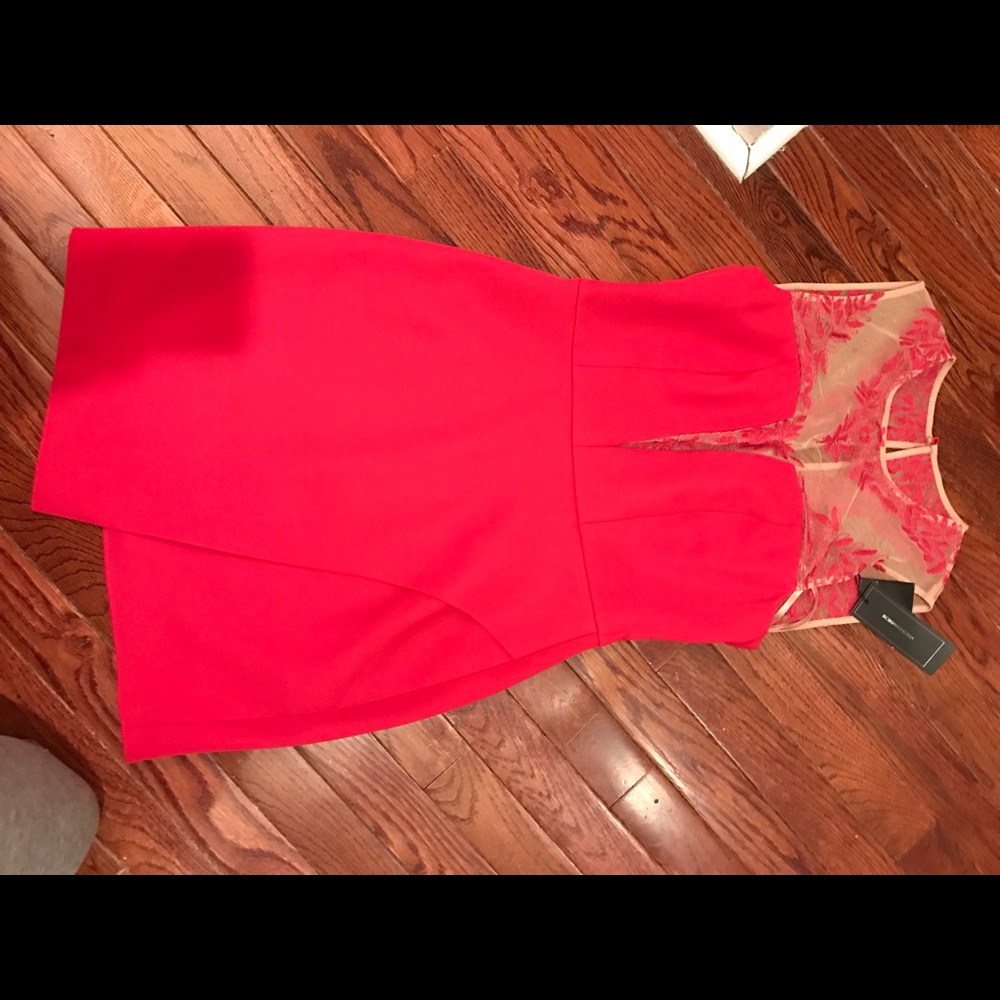 BCBG Dress