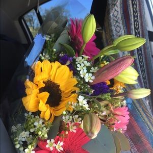 Meet your Posher, Marlene