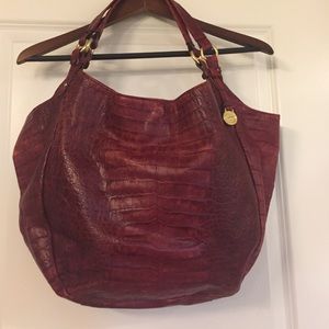Authentic Red Brahmin