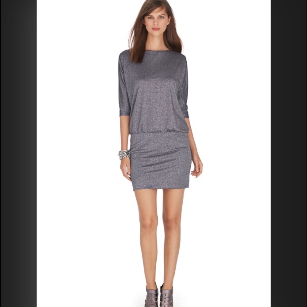 WHBM 3/4 Dolman Sleeve Shimmer Dress