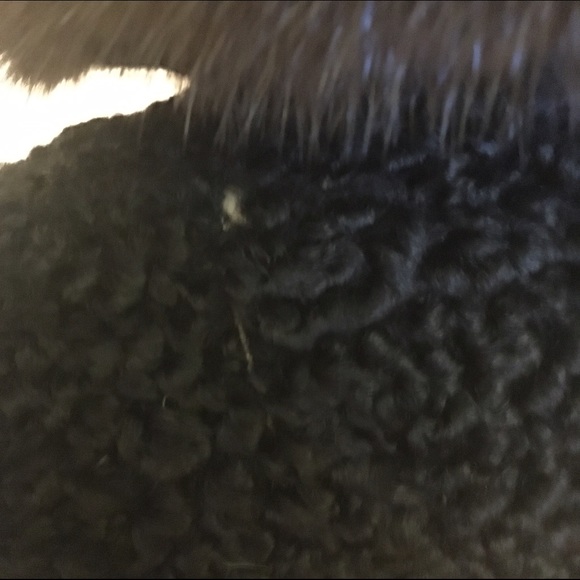 Black sheep fur coat Size 6 - Picture 3 of 4