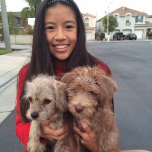 Meet your Posher, Arianna