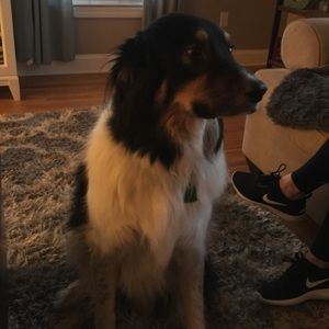 Meet your Posher, Jaime