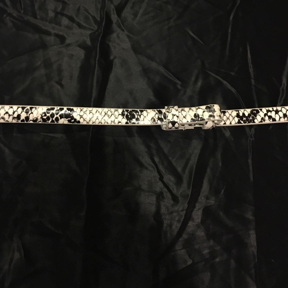 NY&C Belt