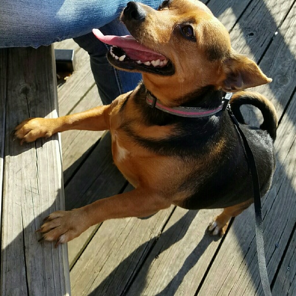 Meet your Posher, Kristine - Picture 1 of 1