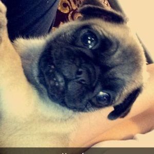 Meet your Posher, Ashley