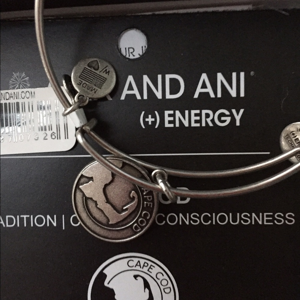 Alex and Ani cape cod bracelet
