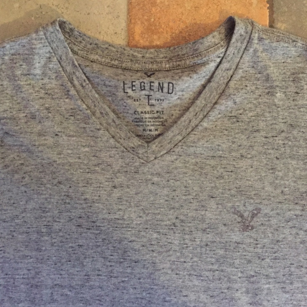 American Eagle Gray V-Neck