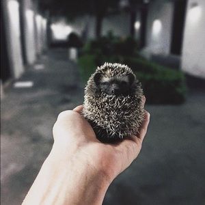 Meet your Posher, Cristina