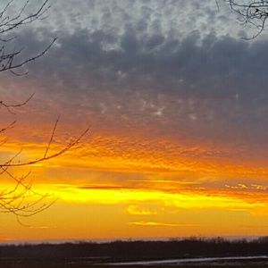 Meet your Posher, Marshall