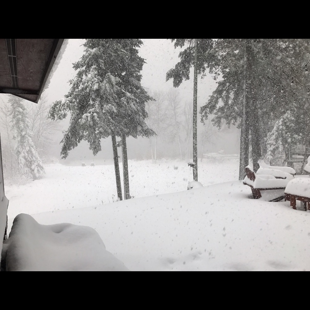 Meet your Posher, Barbara