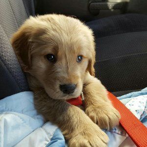 Meet your Posher, Michelle-glenn