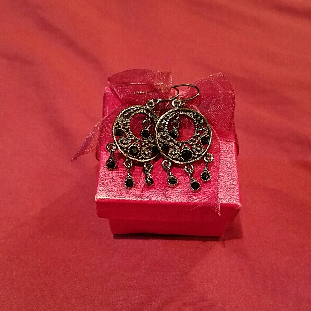 Earrings. (NWOT)