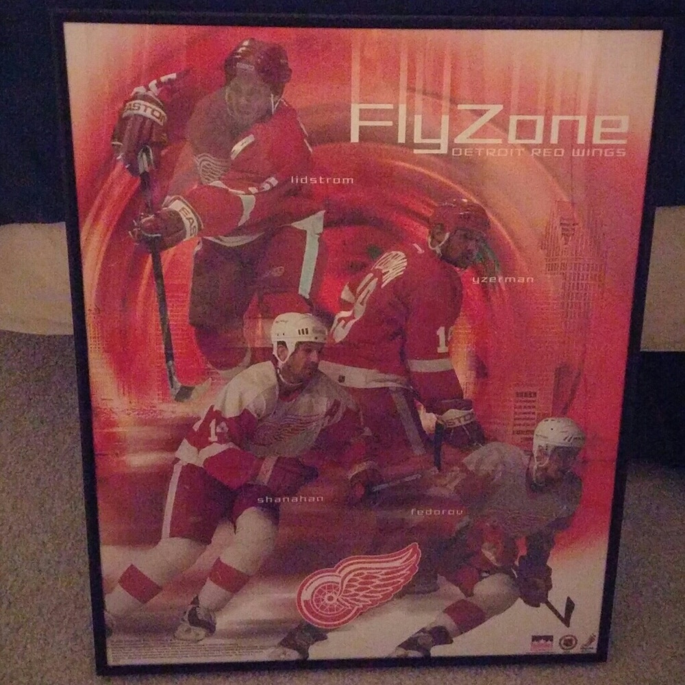 Detroit red wings poster in frame